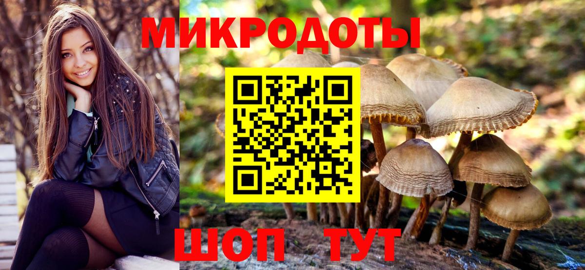 Псилоцибиновые грибы прущие грибы  Псилоцибиновые грибы прущие грибы  Анапа  Вход с VPN 