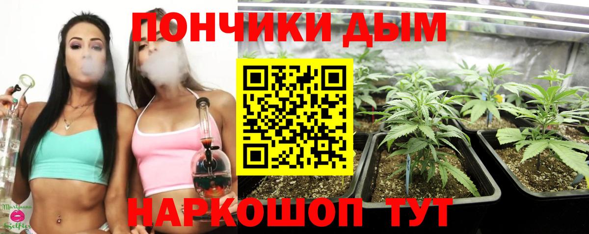 Бошки марихуана марихуана  Бошки марихуана ГИДРОПОН  Анапа  Вход с VPN 